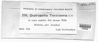 Diatrypella favacea image